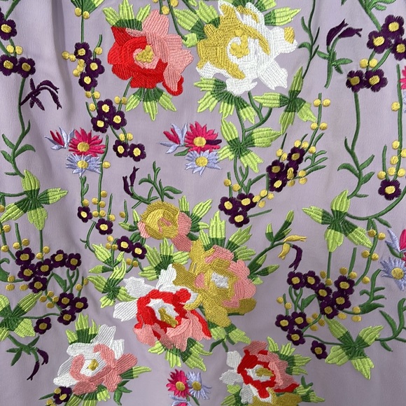 Tristan Floral Embroidered A Line Dress - Picture 6 of 7